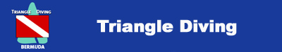 Triangle